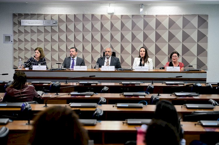 75?s brasileiras afirmam “conhecer pouco” sobre Lei Maria da Penha