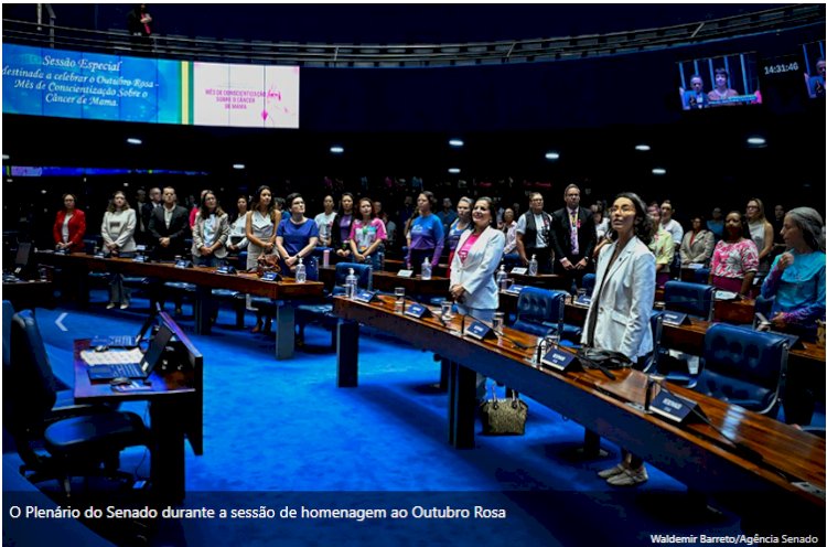 Outubro Rosa: mulheres pedem mais prevenção e tratamento contra câncer de mama